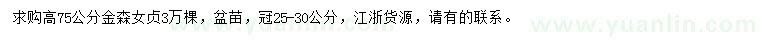 求購(gòu)高75公分金森女貞