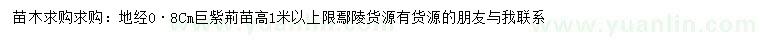 求購地徑0.8公分巨紫荊苗