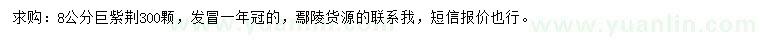 求購8公分巨紫荊