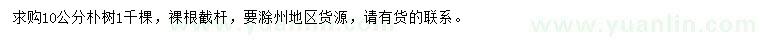 求購10公分樸樹