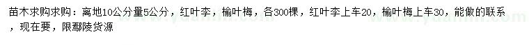 求購(gòu)離地10公分量5公分紅葉李、榆葉梅
