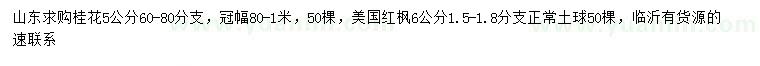 求購5公分桂花、6公分美國紅楓