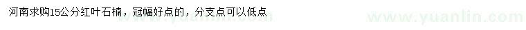 求購15公分紅葉石楠
