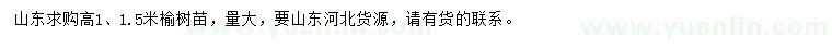 求購(gòu)高1、1.5米榆樹苗