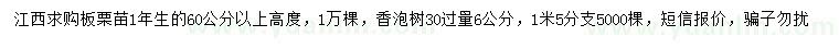 求購高60公分以上板栗苗、30過量6公分香泡樹