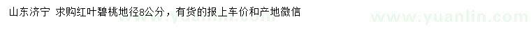 求購地徑8公分紅葉碧桃