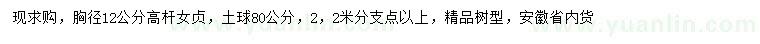 求購胸徑12公分高桿女貞