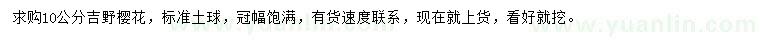 求購(gòu)10公分吉野櫻花