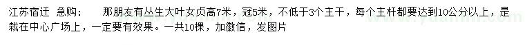 求購高7米叢生大葉女貞