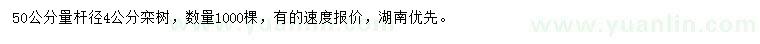 求購50公分量桿徑4公分欒樹