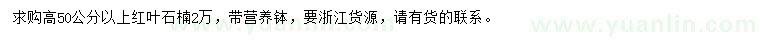 求購高50公分以上紅葉石楠