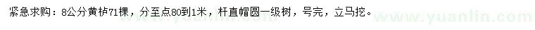 求購8公分黃櫨