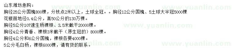 求購國槐、花椒苗、107速生楊等