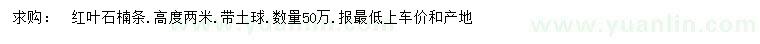 求購高2米紅葉石楠條