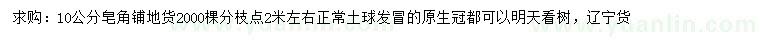 求購(gòu)10公分皂角