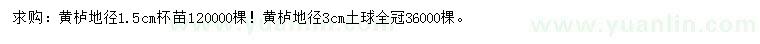 求購地徑1.5、3公分黃櫨