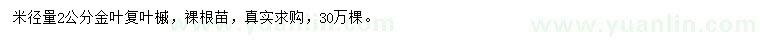 求購米徑2公分金葉復(fù)葉槭