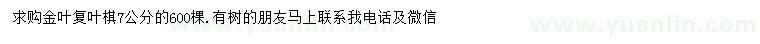 求購7公分復(fù)葉槭