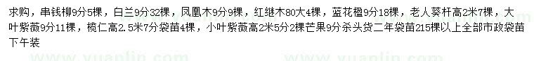 求購(gòu)串錢柳、白蘭、鳳凰木等