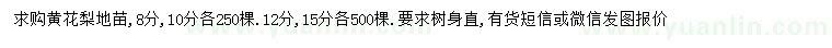 求購8、10、12、15公分黃花梨地苗
