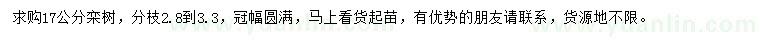 求購17公分欒樹