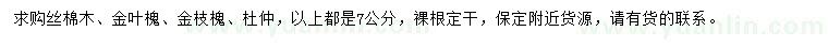 求購絲棉木、金葉槐、金枝槐等