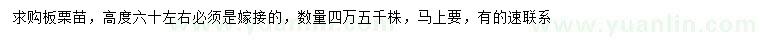 求購(gòu)高60公分左右板栗苗