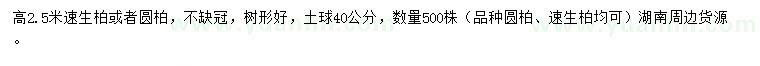 求購高2.5米速生柏或者圓柏