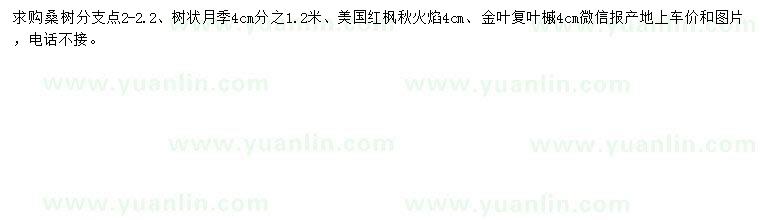 求購(gòu)桑樹(shù)、樹(shù)狀月季、美國(guó)紅楓等