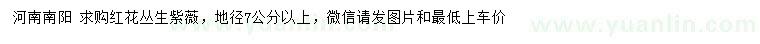 求購(gòu)地徑7公分以上紅花叢生紫薇