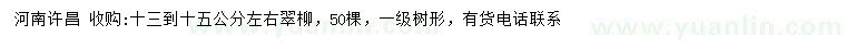 求購(gòu)13-15公分左右翠柳