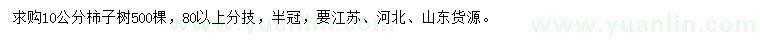 求購(gòu)10公分柿子樹