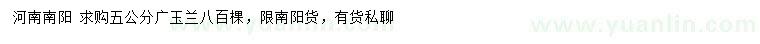 求購5公分廣玉蘭