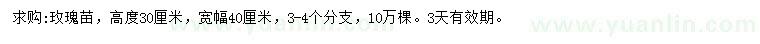 求購(gòu)高30公分玫瑰苗