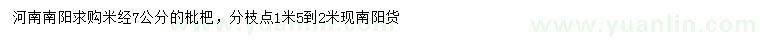 求購(gòu)米徑7公分枇杷