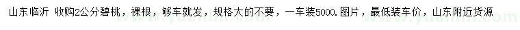 求購2公分碧桃