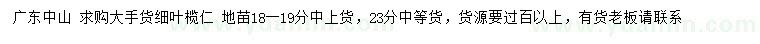 求購(gòu)18-19、23公分細(xì)葉欖仁 
