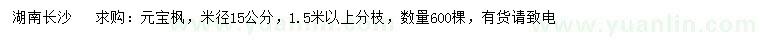 求購(gòu)米徑15公分元寶楓