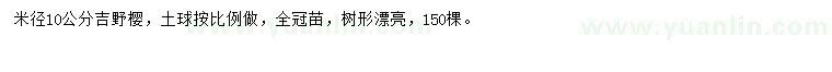 求購米徑10公分吉野櫻