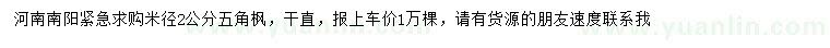 求購米徑2公分五角楓