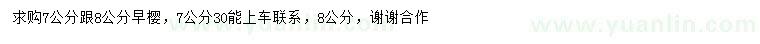 求購7、8公分單櫻花