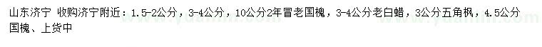 求購老國槐、老白蠟、五角楓等