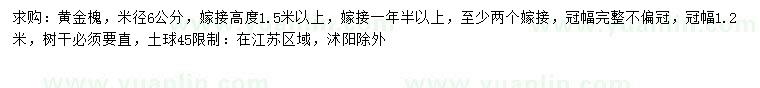 求購6公分黃金槐