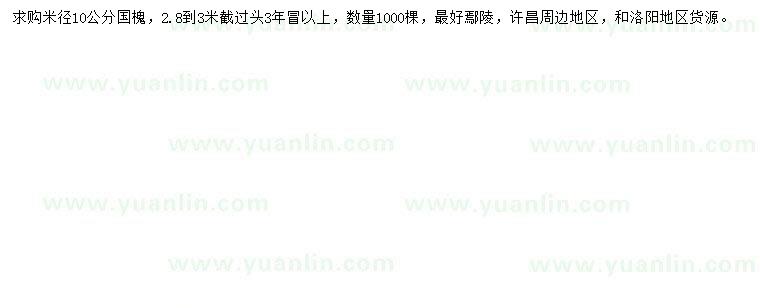 求購米徑10公分國槐