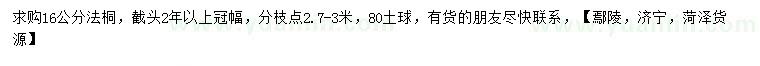 求購16公分法桐