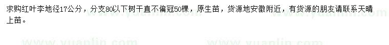 求購(gòu)17公分紅葉李
