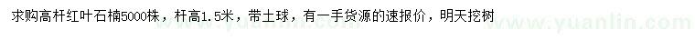 求購(gòu)1.5米高桿紅葉石楠