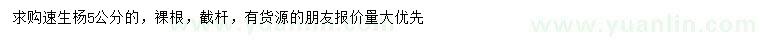 求購5公分速生楊