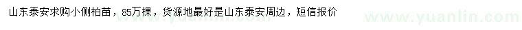 求購小側(cè)柏苗