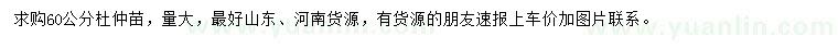 求購(gòu)60公分杜仲苗